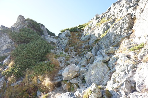 2013y12m07d_114420559