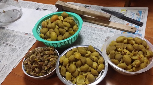 2015y05m11d_210815628