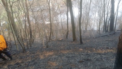 2015y05m11d_181801865