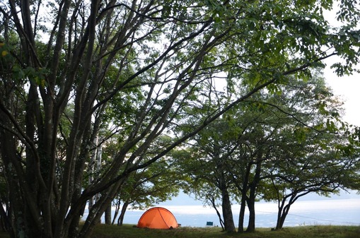 2012y11m18d_102454346