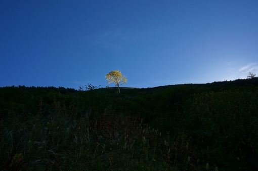 2013y10m05d_125804915