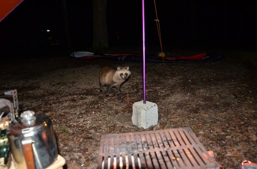 2015y05m12d_163958946