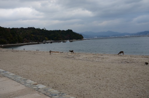 2015y05m12d_212828148