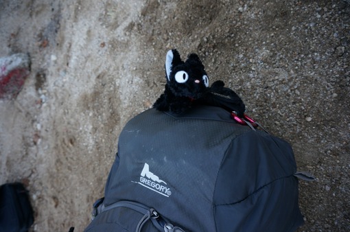 2013y09m30d_123946663