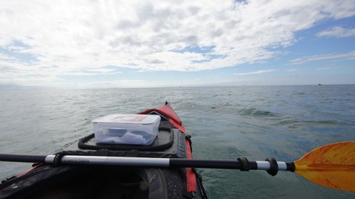 2012y11m18d_102627270