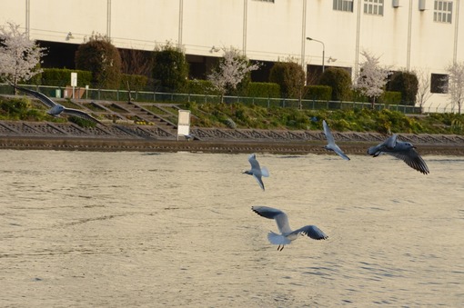 2013y05m19d_141038119