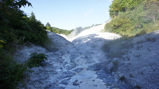 DSC03471