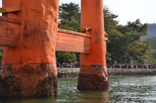 2015y05m12d_164135497