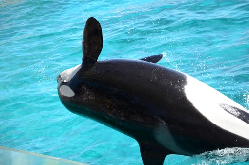 2012y11m18d_210030362