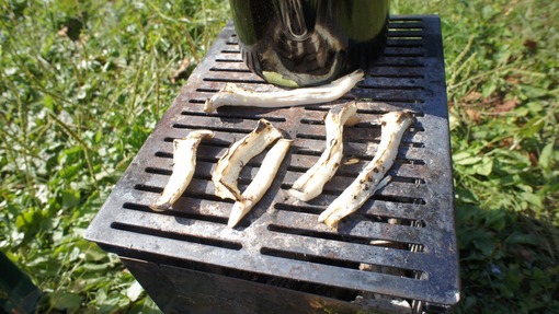 2012y11m18d_190854082