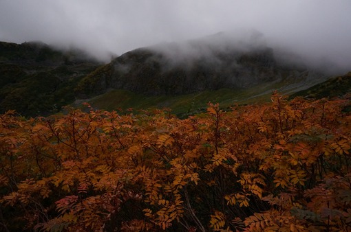 2013y10m05d_135850017