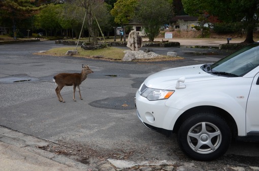 2015y05m12d_212818690