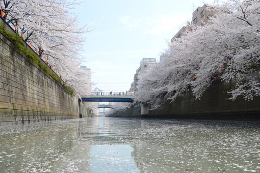 2013y05m19d_140602913