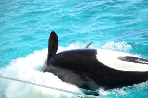 2012y11m18d_210023942