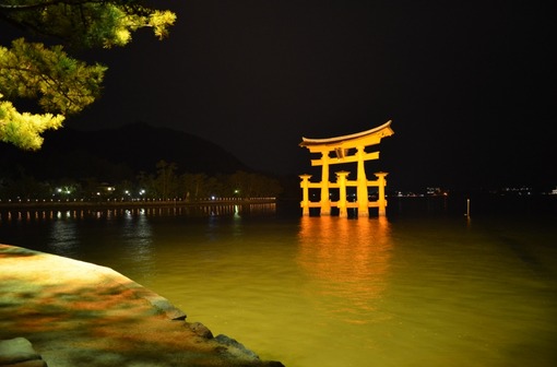 2015y05m12d_164855744