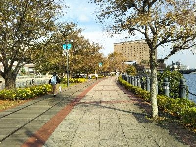 IMG_20181024_141021-400x300