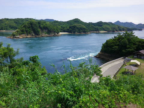 IMGP2161