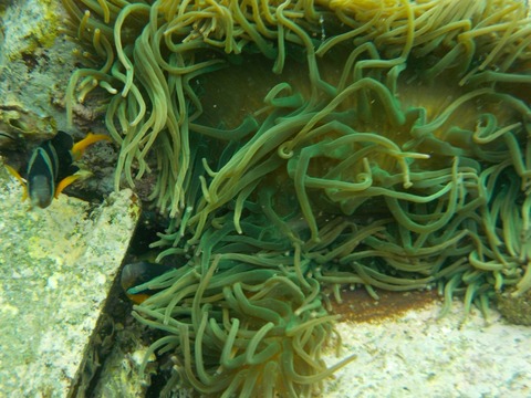 西海 - 1 (18)