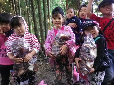 IMGP2616