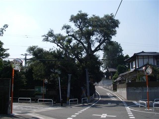 IMGP5794_R[1]