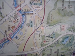 CIMG4081
