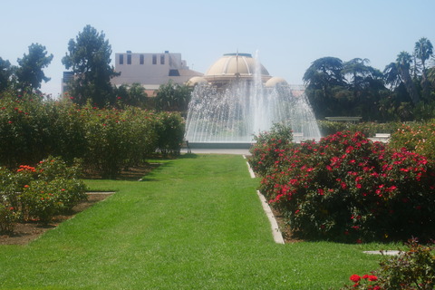 P1010636