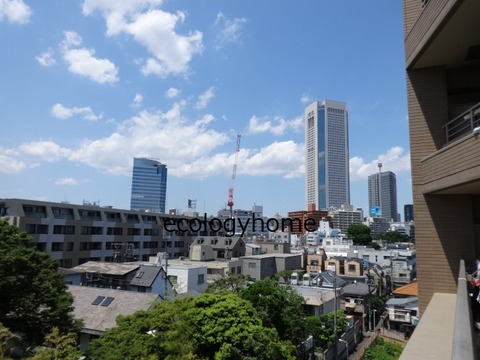 パルテールアージュ初台 038
