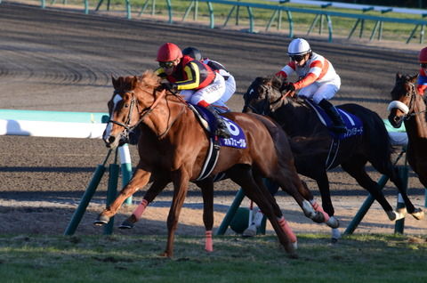【競馬】明日阪神メイン、ダノンフェイス1番人気ワロタwww