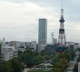 926430fd.jpg