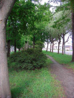 CIMG0853