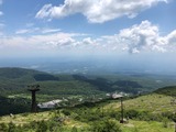 IMG_6494
