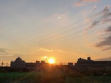 IMG_6543