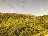 IMG_6488
