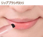 SS-550_lip