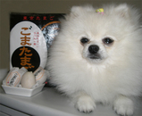 お菓子とハッピー
