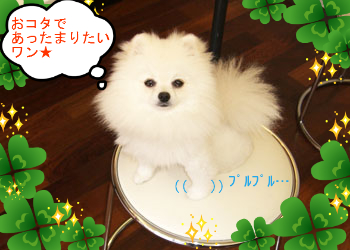 HAPPY