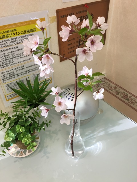 sakura