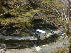 DSC03509