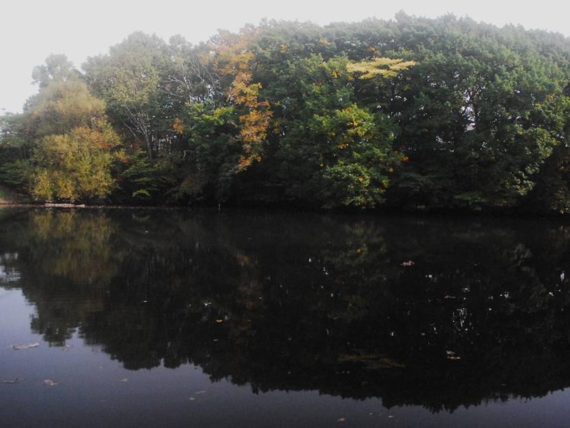 image002