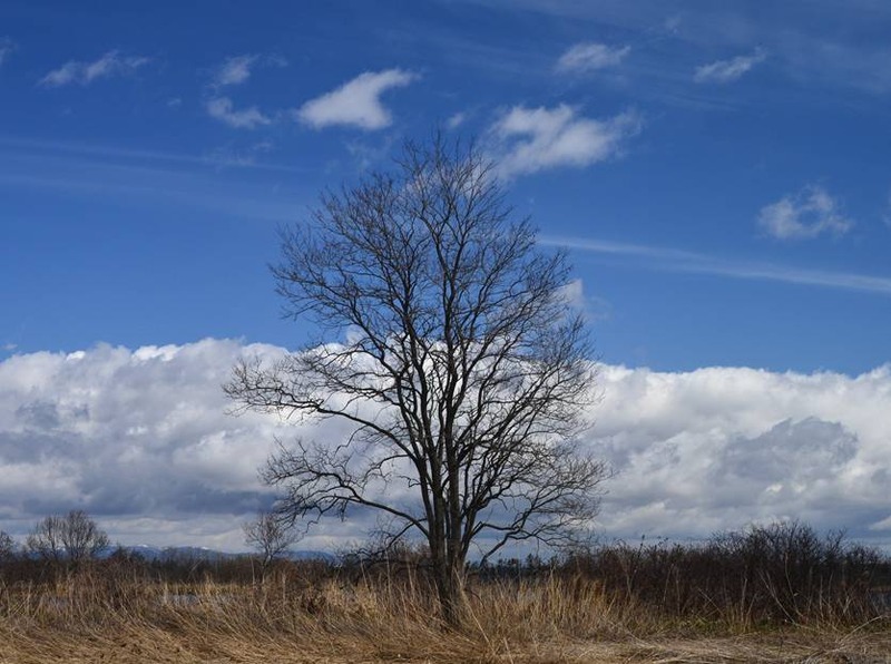 image002