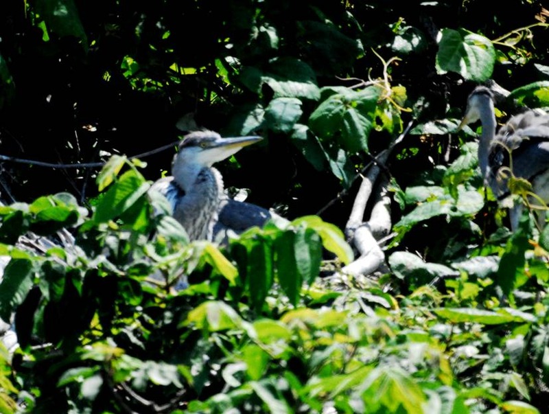 image002