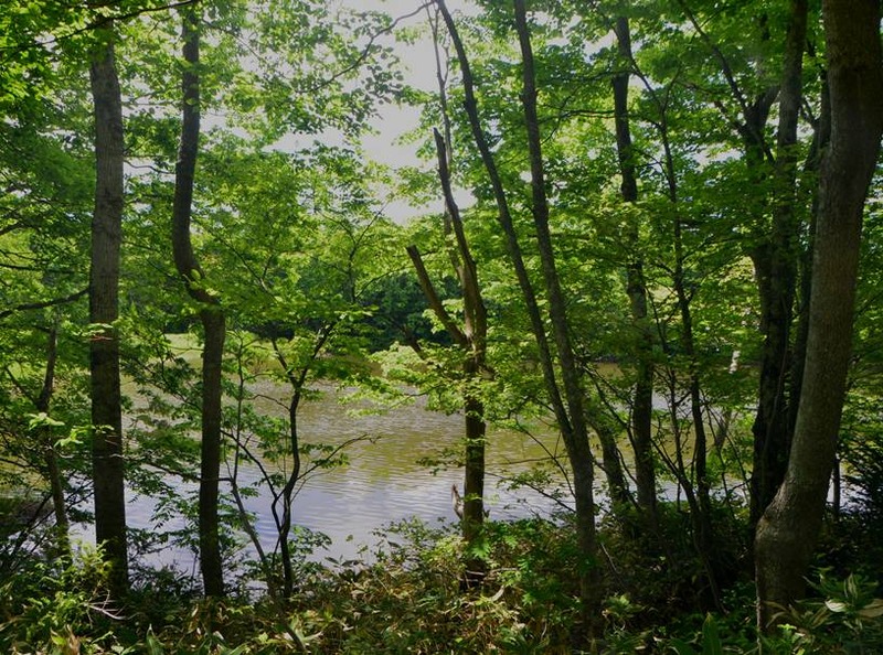 image002