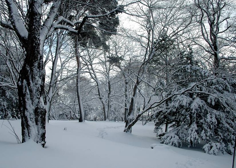 image002