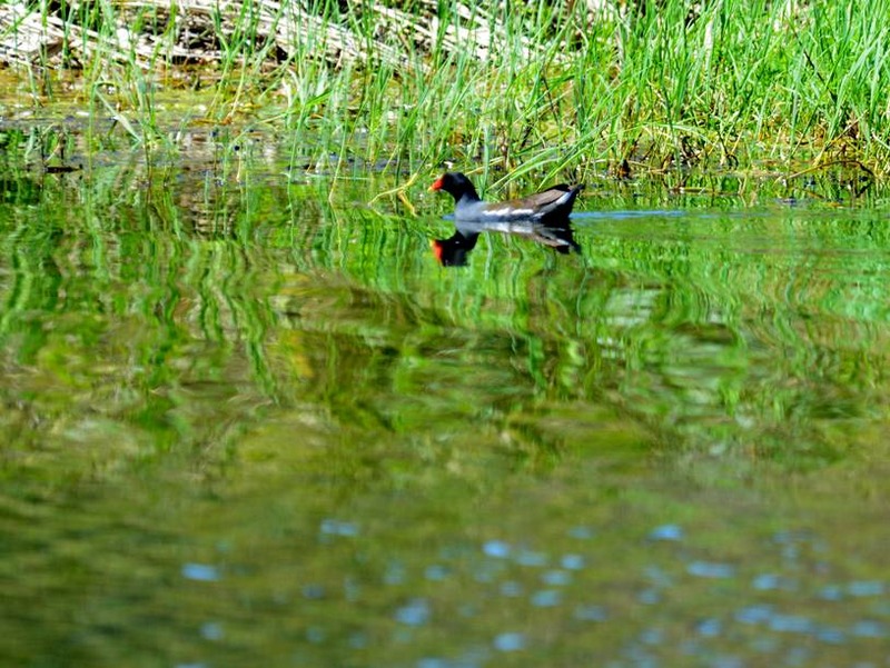 image002