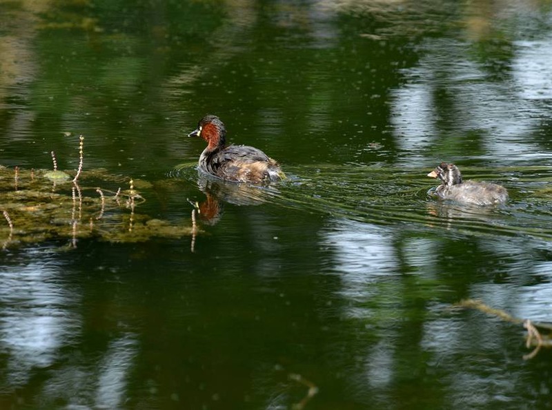 image002