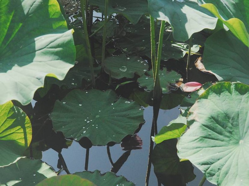 image002