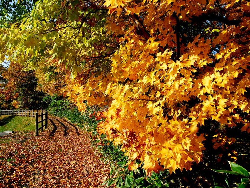 image002
