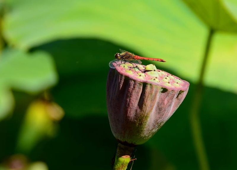 image002