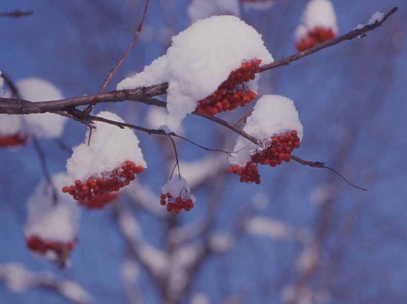 image002