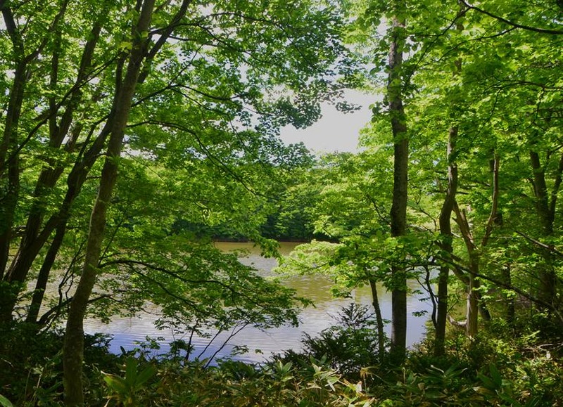 image002